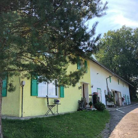 Weiher 1 Villa Rot an der Rot Buitenkant foto